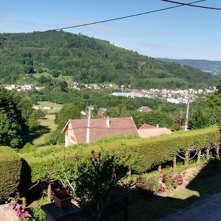 Gite De Bellevue Maison Traditionnelle Vosgienne Plainfaing Kültér fotó