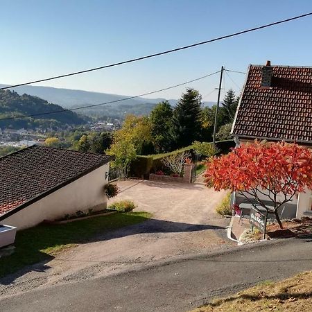 Gite De Bellevue Maison Traditionnelle Vosgienne Plainfaing Kültér fotó