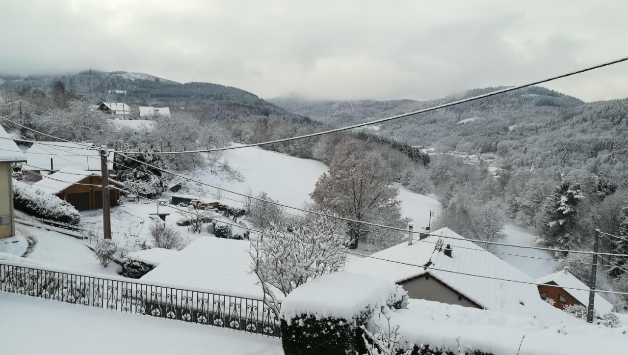 Gite De Bellevue Maison Traditionnelle Vosgienne Plainfaing Kültér fotó